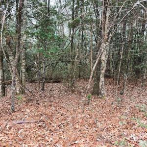 Photo #56 of 330 Ellis Stewart Ln, Cameron, NC 193.0 acres