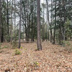 Photo #57 of 330 Ellis Stewart Ln, Cameron, NC 193.0 acres