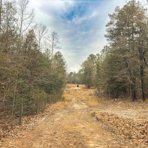 Photo #58 of 330 Ellis Stewart Ln, Cameron, NC 193.0 acres