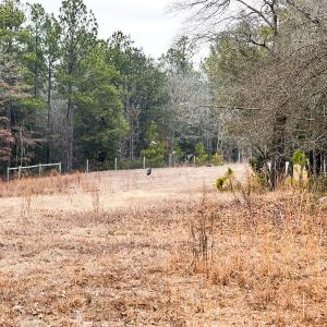 Photo #60 of 330 Ellis Stewart Ln, Cameron, NC 193.0 acres