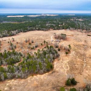 Photo #64 of 330 Ellis Stewart Ln, Cameron, NC 193.0 acres