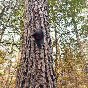 Photo #67 of 330 Ellis Stewart Ln, Cameron, NC 193.0 acres