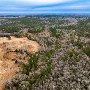 Photo #68 of 330 Ellis Stewart Ln, Cameron, NC 193.0 acres