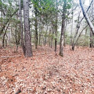 Photo #73 of 330 Ellis Stewart Ln, Cameron, NC 193.0 acres