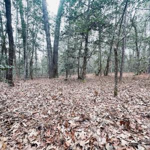 Photo #74 of 330 Ellis Stewart Ln, Cameron, NC 193.0 acres
