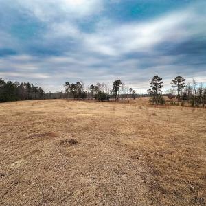 Photo #75 of 330 Ellis Stewart Ln, Cameron, NC 193.0 acres