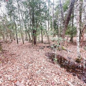 Photo #76 of 330 Ellis Stewart Ln, Cameron, NC 193.0 acres