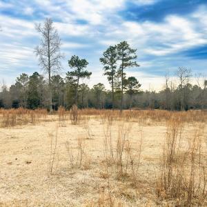Photo #79 of 330 Ellis Stewart Ln, Cameron, NC 193.0 acres