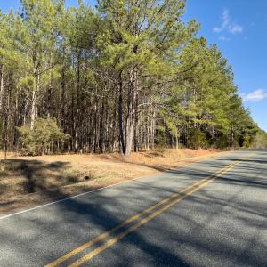 Photo #4 of Lot-2, Off Campbell Road, Bear Creek, NC 13.3 acres