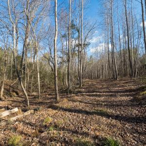 Photo #6 of Lot-2, Off Campbell Road, Bear Creek, NC 13.3 acres