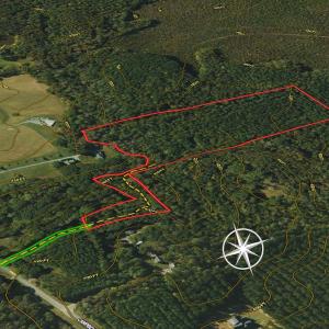 Photo #7 of Lot-2, Off Campbell Road, Bear Creek, NC 13.3 acres
