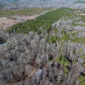 Photo #10 of Lot-2, Off Campbell Road, Bear Creek, NC 13.3 acres