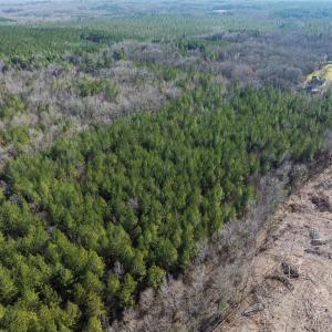 Photo #12 of Lot-2, Off Campbell Road, Bear Creek, NC 13.3 acres