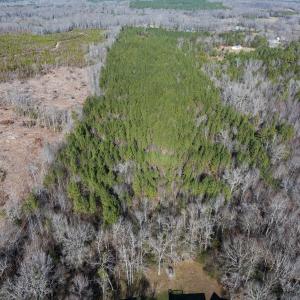 Photo #15 of Lot-2, Off Campbell Road, Bear Creek, NC 13.3 acres
