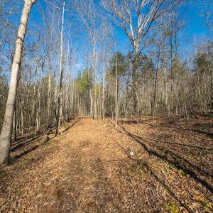 Photo #18 of Lot-2, Off Campbell Road, Bear Creek, NC 13.3 acres
