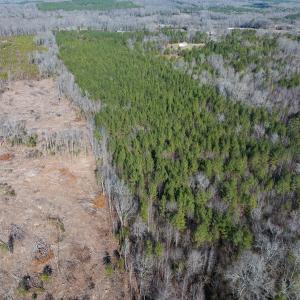 Photo #19 of Lot-2, Off Campbell Road, Bear Creek, NC 13.3 acres