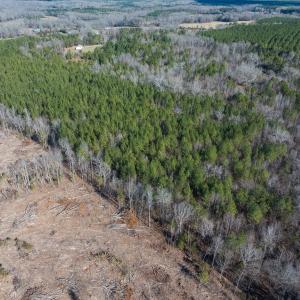 Photo #22 of Lot-2, Off Campbell Road, Bear Creek, NC 13.3 acres