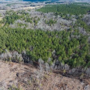 Photo #25 of Lot-2, Off Campbell Road, Bear Creek, NC 13.3 acres