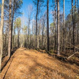Photo #27 of Lot-2, Off Campbell Road, Bear Creek, NC 13.3 acres