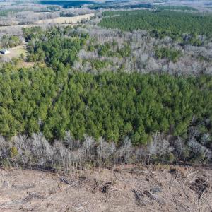 Photo #29 of Lot-2, Off Campbell Road, Bear Creek, NC 13.3 acres