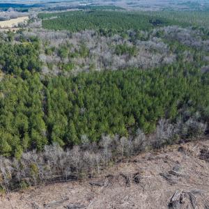 Photo #31 of Lot-2, Off Campbell Road, Bear Creek, NC 13.3 acres