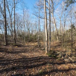 Photo #32 of Lot-2, Off Campbell Road, Bear Creek, NC 13.3 acres