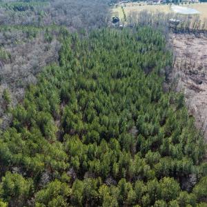 Photo #33 of Lot-2, Off Campbell Road, Bear Creek, NC 13.3 acres