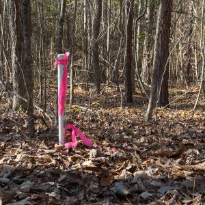 Photo #35 of Lot-2, Off Campbell Road, Bear Creek, NC 13.3 acres