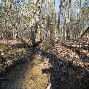 Photo #36 of Lot-2, Off Campbell Road, Bear Creek, NC 13.3 acres