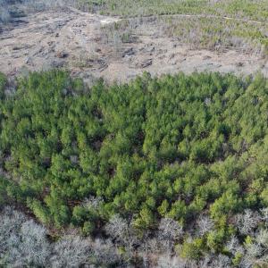 Photo #40 of Lot-2, Off Campbell Road, Bear Creek, NC 13.3 acres