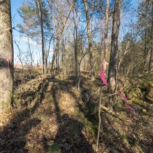 Photo #42 of Lot-2, Off Campbell Road, Bear Creek, NC 13.3 acres