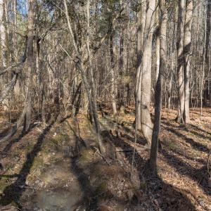 Photo #44 of Lot-2, Off Campbell Road, Bear Creek, NC 13.3 acres