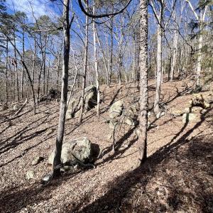Photo #12 of 551 Boulder Ridge Dr, Denton, NC 1.5 acres