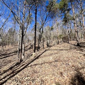Photo #14 of 551 Boulder Ridge Dr, Denton, NC 1.5 acres