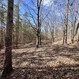 Photo #16 of 551 Boulder Ridge Dr, Denton, NC 1.5 acres