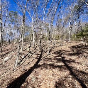 Photo #18 of 551 Boulder Ridge Dr, Denton, NC 1.5 acres