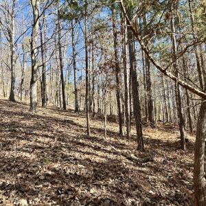 Photo #19 of 551 Boulder Ridge Dr, Denton, NC 1.5 acres