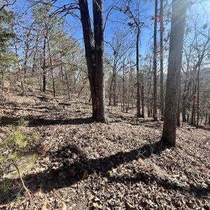 Photo #20 of 551 Boulder Ridge Dr, Denton, NC 1.5 acres