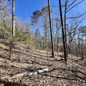 Photo #22 of 551 Boulder Ridge Dr, Denton, NC 1.5 acres