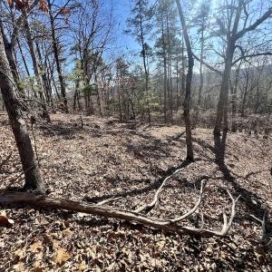 Photo #3 of 551 Boulder Ridge Dr, Denton, NC 1.5 acres