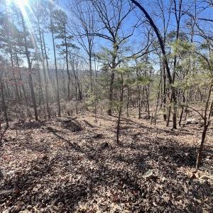 Photo #23 of 551 Boulder Ridge Dr, Denton, NC 1.5 acres