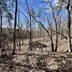Photo #24 of 551 Boulder Ridge Dr, Denton, NC 1.5 acres