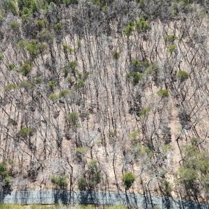 Photo #25 of 551 Boulder Ridge Dr, Denton, NC 1.5 acres