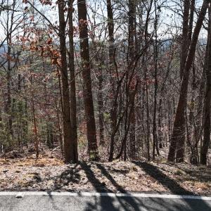 Photo #28 of 551 Boulder Ridge Dr, Denton, NC 1.5 acres