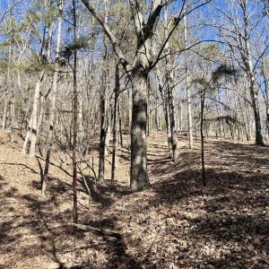Photo #29 of 551 Boulder Ridge Dr, Denton, NC 1.5 acres