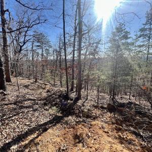 Photo #30 of 551 Boulder Ridge Dr, Denton, NC 1.5 acres