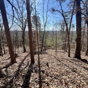 Photo #4 of 551 Boulder Ridge Dr, Denton, NC 1.5 acres