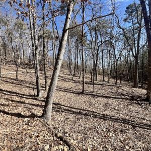 Photo #6 of 551 Boulder Ridge Dr, Denton, NC 1.5 acres