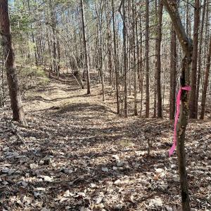 Photo #7 of 551 Boulder Ridge Dr, Denton, NC 1.5 acres