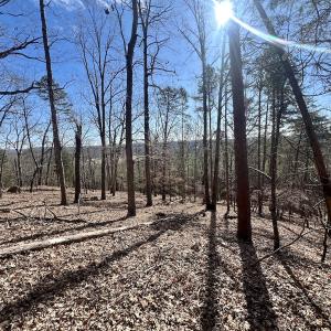 Photo #8 of 551 Boulder Ridge Dr, Denton, NC 1.5 acres